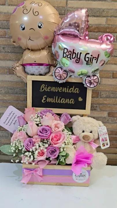 Bienvenida Bebé niña miniatura 2