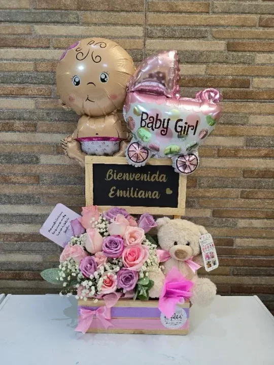 Bienvenida Bebé niña — 3