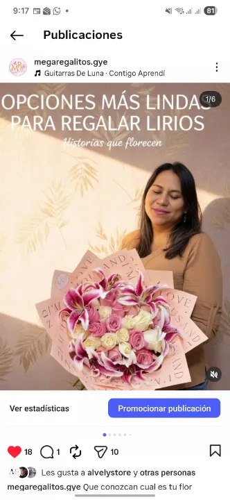 Bouquet D Lirio